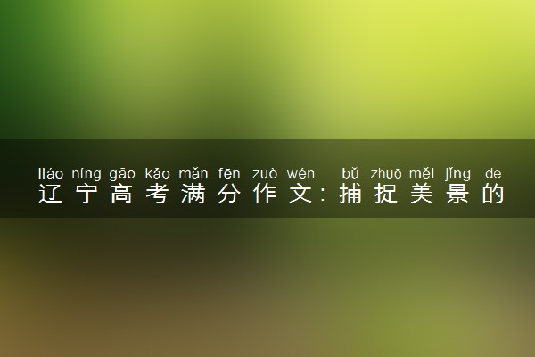 辽宁高考满分作文：捕捉美景的风采