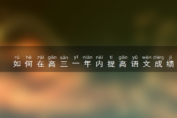 如何在高三一年内提高语文成绩