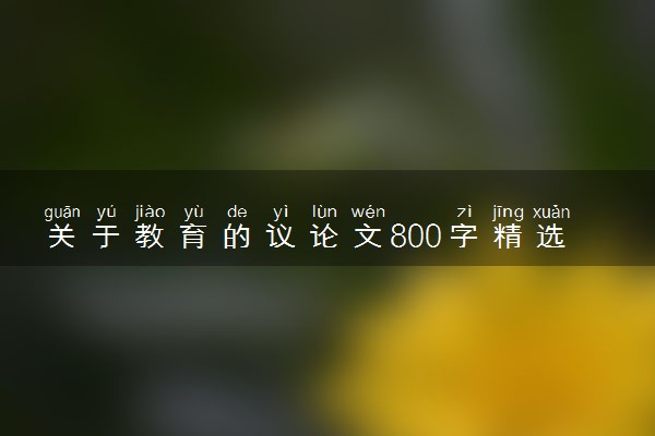关于教育的议论文800字精选3篇