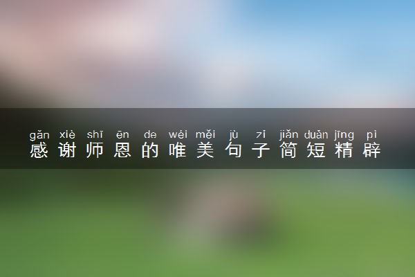 感谢师恩的唯美句子简短精辟