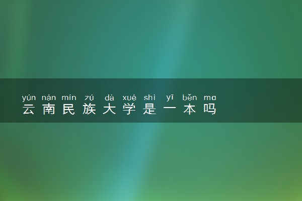 云南民族大学是一本吗