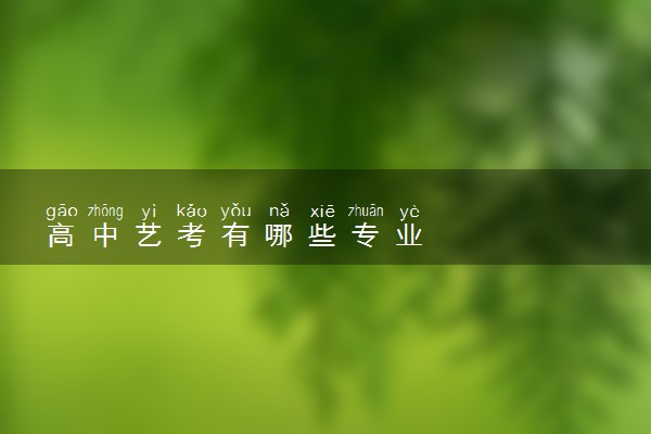 高中艺考有哪些专业