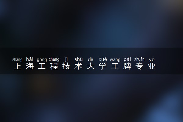 上海工程技术大学王牌专业