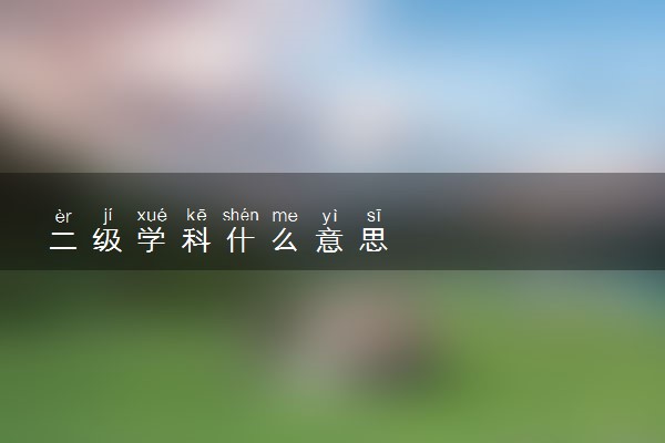 二级学科什么意思