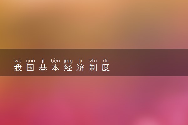 我国基本经济制度