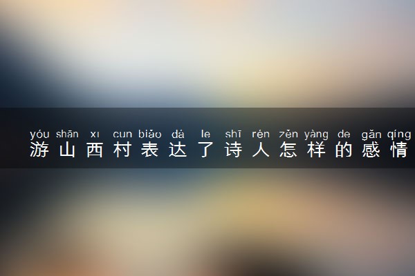 游山西村表达了诗人怎样的感情