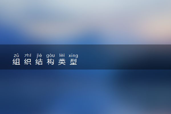组织结构类型