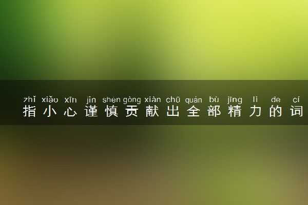 指小心谨慎贡献出全部精力的词语是什么