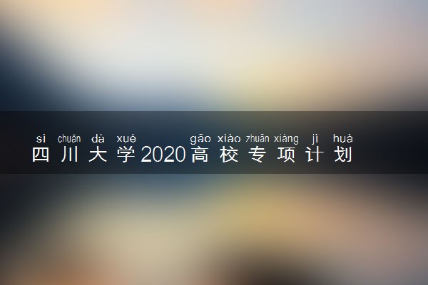 四川大学2020高校专项计划招生简章