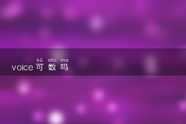 voice可数吗
