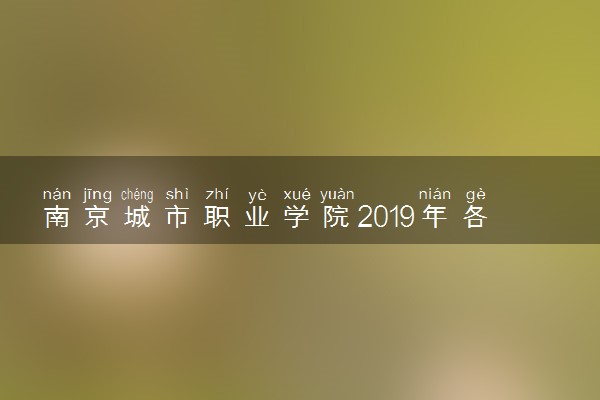 南京城市职业学院2019年各省录取分数线详情
