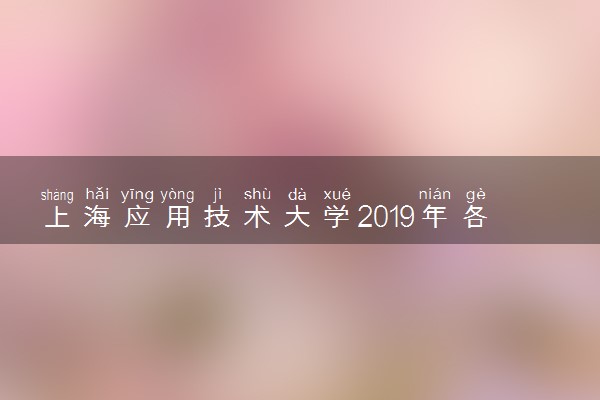 上海应用技术大学2019年各省录取分数线汇总