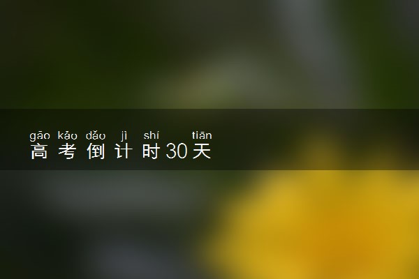 高考倒计时30天