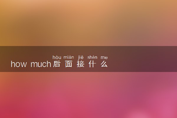 how much后面接什么