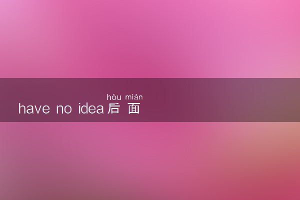 have no idea后面接什么从句