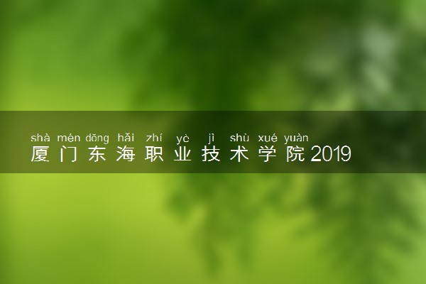 厦门东海职业技术学院2019年各省录取分数线详情