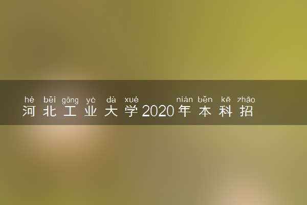 河北工业大学2020年本科招生章程