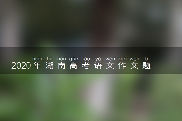 2020年湖南高考语文作文题目及点评