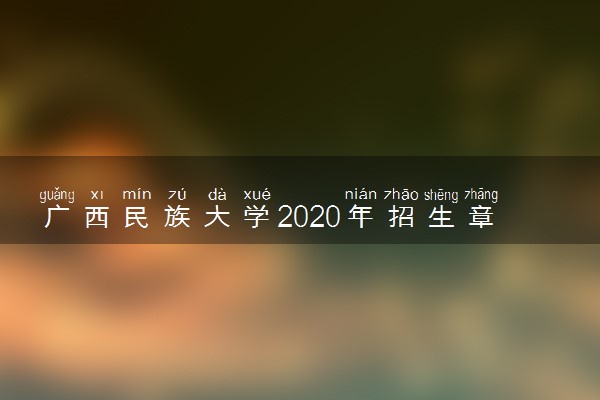 广西民族大学2020年招生章程