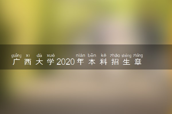 广西大学2020年本科招生章程
