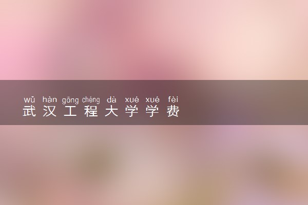 武汉工程大学学费