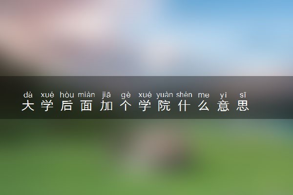 大学后面加个学院什么意思