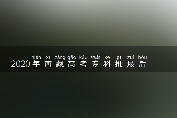 2020年西藏高考专科批最后一次征集志愿招生计划