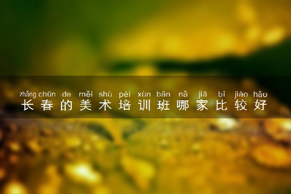长春的美术培训班哪家比较好 排名情况如何