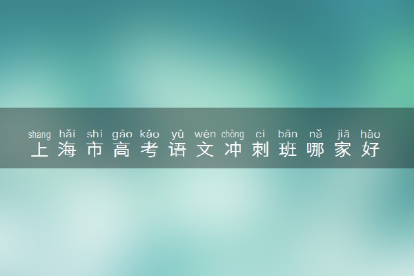 上海市高考语文冲刺班哪家好