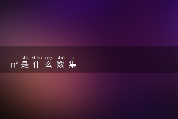 n*是什么数集