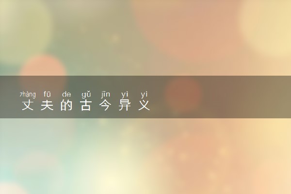 丈夫的古今异义