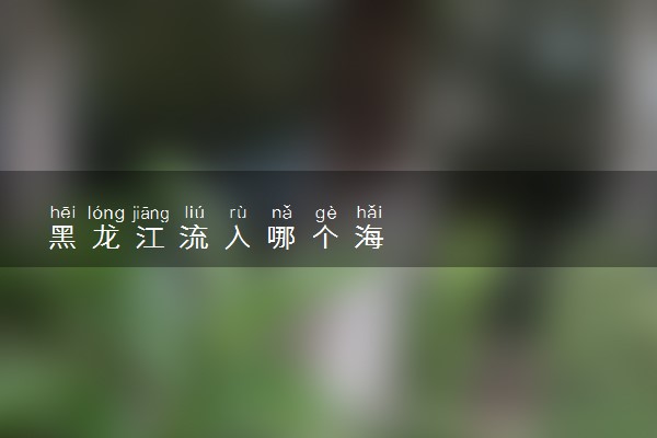黑龙江流入哪个海