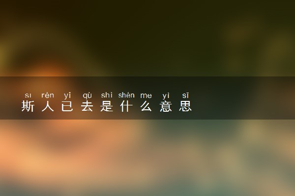 斯人已去是什么意思