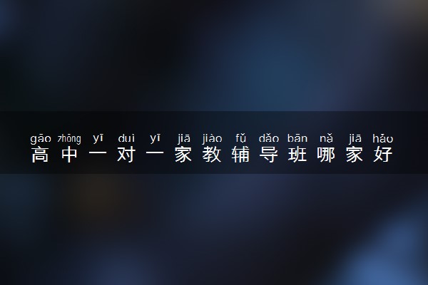 高中一对一家教辅导班哪家好