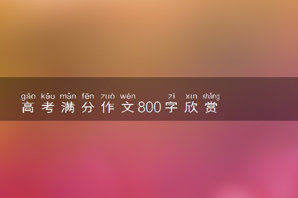 高考满分作文800字欣赏