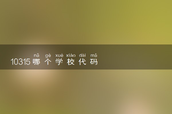 10315哪个学校代码