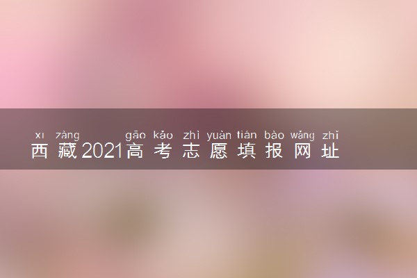 西藏2021高考志愿填报网址入口