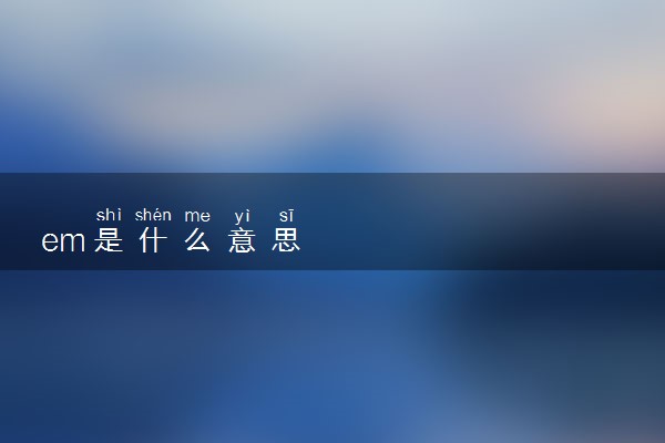 em是什么意思