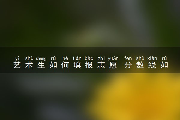 艺术生如何填报志愿 分数线如何划分