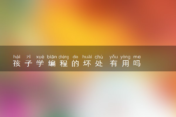 孩子学编程的坏处 有用吗