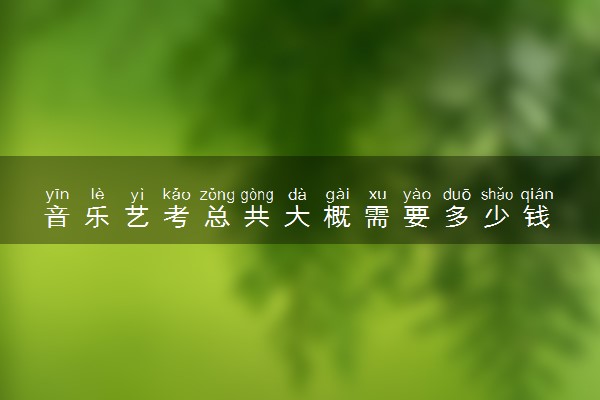 音乐艺考总共大概需要多少钱 花费大吗