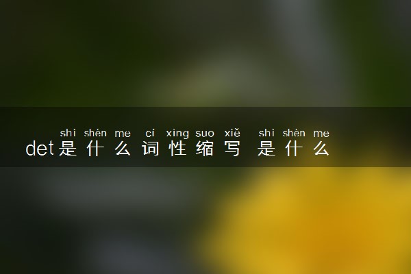 det是什么词性缩写 是什么意思