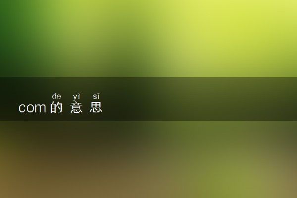 com的意思