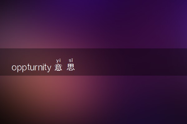 oppturnity意思