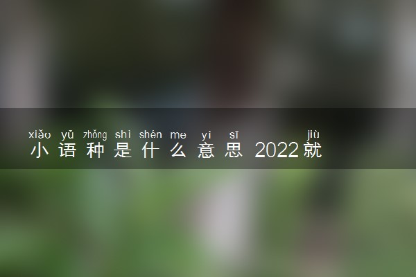 小语种是什么意思 2022就业前景好吗