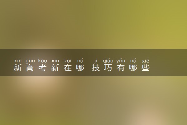 新高考新在哪 技巧有哪些