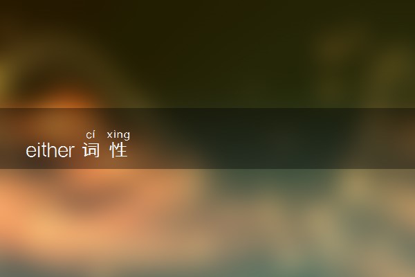 either词性