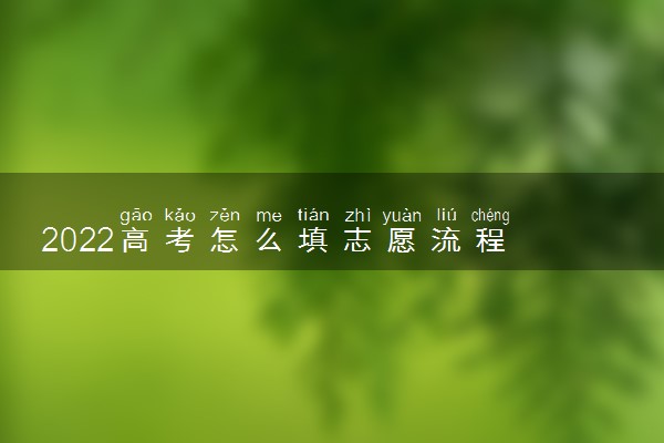 2022高考怎么填志愿流程