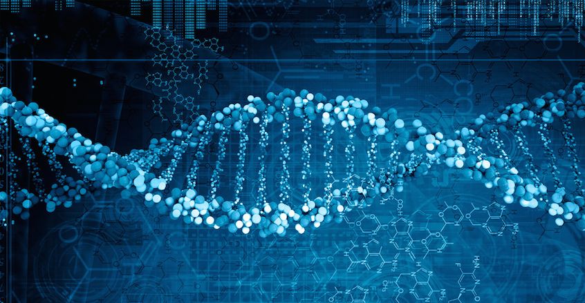 生物信息学专业大学排名 2022最新排行榜