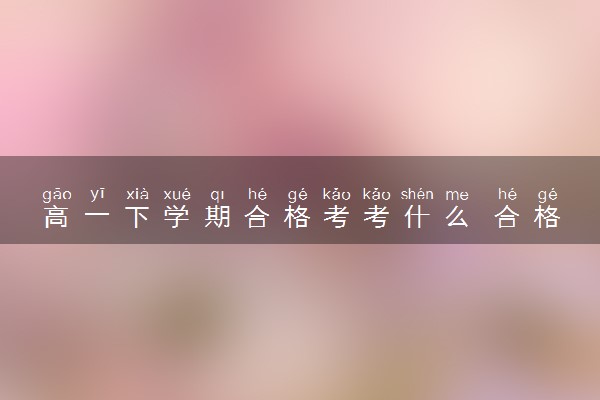 高一下学期合格考考什么 合格考和高考有什么区别